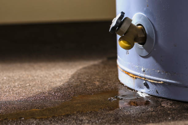 Best Carpet water damage restoration  in Park Rapids, MN