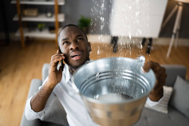 Best Mold removal after water damage  in Park Rapids, MN