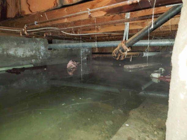 Best Commercial water damage restoration  in Park Rapids, MN