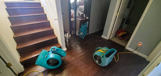 Professional Water damage restoration in Park Rapids, MN