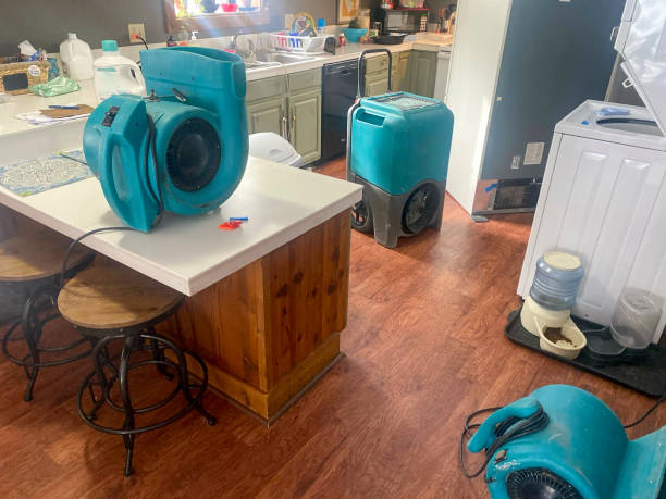  Park Rapids, MN Water damage restoration Pros