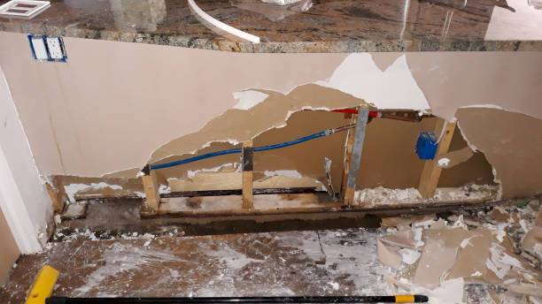 Best Water damage contractors near me  in Park Rapids, MN