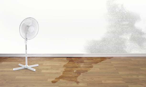 24/7 water damage repair in Park Rapids, MN