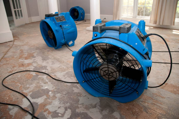 Water damage restoration mold remediation in Park Rapids, MN