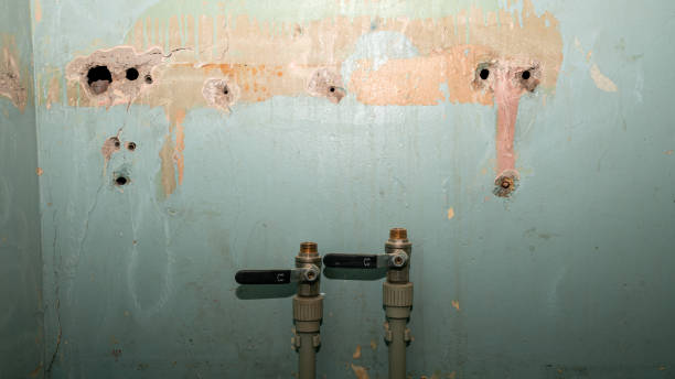 Best Emergency water damage restoration  in Park Rapids, MN