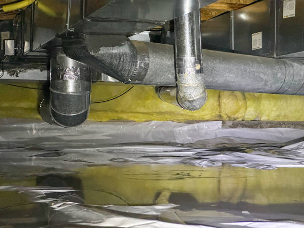Best Residential water damage restoration  in Park Rapids, MN