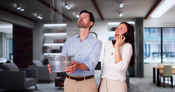 Best Water damage restoration mold remediation  in Park Rapids, MN