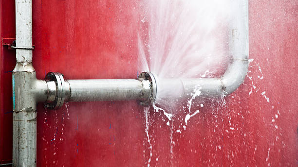 Best Local water damage restoration  in Park Rapids, MN
