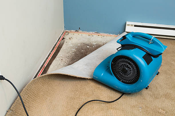 Best Flooded house restoration  in Park Rapids, MN